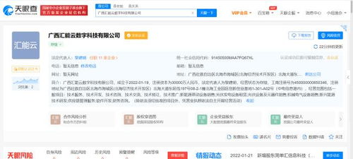 TCL跨界布局新能源，成立數(shù)字科技公司聚焦新興能源技術(shù)研發(fā)
