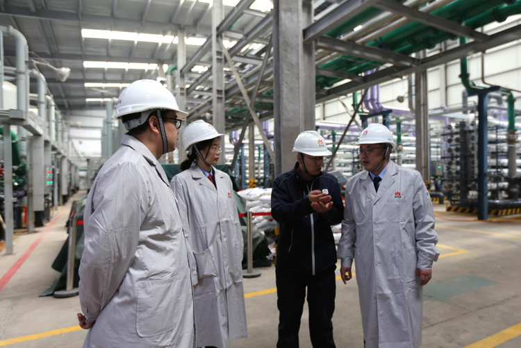 稅務服務賦新能，創新驅動贏未來——資源再生利用技術研發的機遇與路徑
